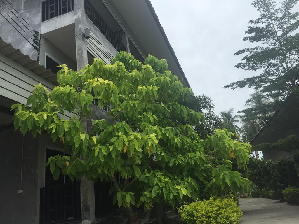 Baan Suan Ta Hotel Ko Tao Zewnętrze zdjęcie